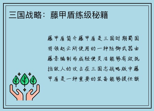 三国战略：藤甲盾练级秘籍